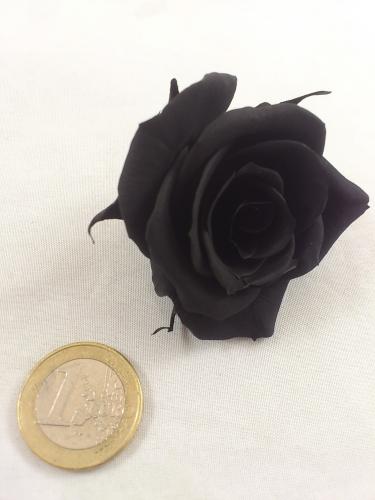 Rose stabilisée  12 p.  M ø 4-4.5 cm black