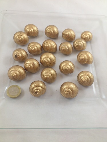 Landsnail shell gold 3 cm 50 gr.