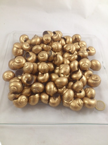 Landsnail shell gold 3 cm 250 gr.