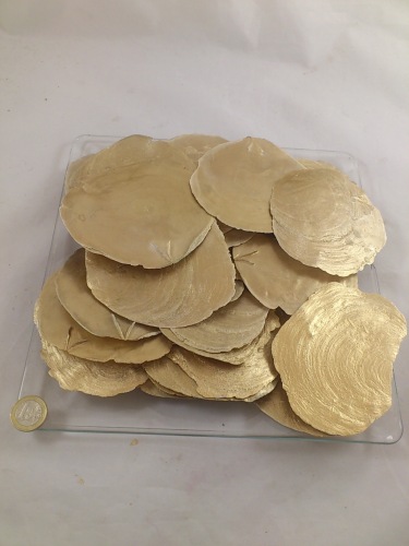 Capiz dia goud 10 cm 500 gr.