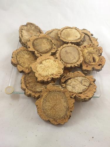Cork wood slices 8-10 cm 500 gr.