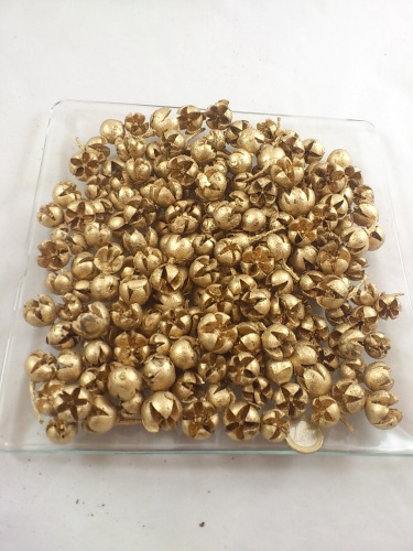 Chiloni 500 gr. Gold