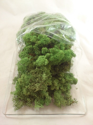 Reindeer moss 450 gr. mossgreen