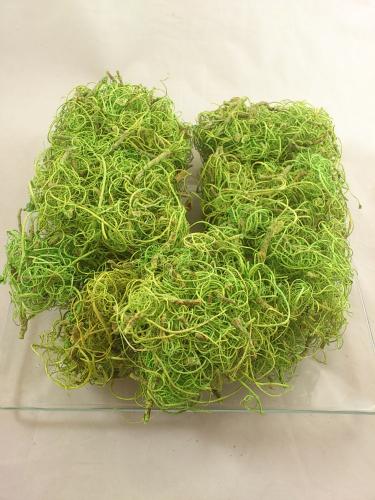 Curly moss 200 gr. limegreen