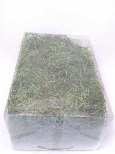 Tilancia moss 500 gr. +100 gr Free apple green