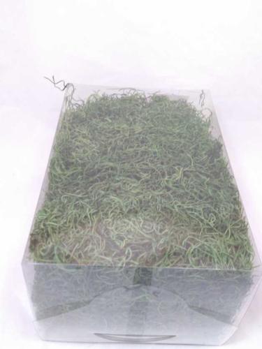 Tilancia moss 500 gr. +100 gr Free moss green