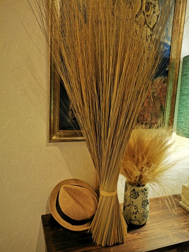 Stipa Penata 50 cm toeven 10 st.