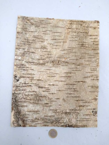 Birch bark créme 25x17 cm 7 p.