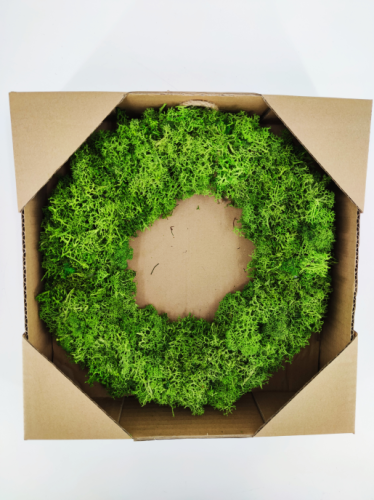 Wreath Reindeer Moss apple green 30 cm