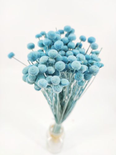 Fluweelknopje pastel blauw 100 gr.