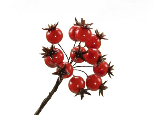 Rose hips mini light red 2x12 p.