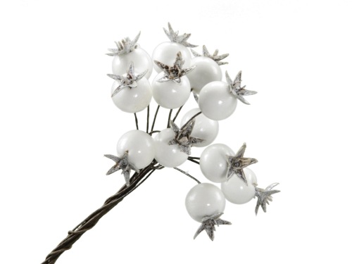 Rose hips mini white 2x12 p.