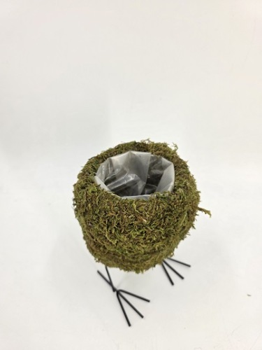 Nest Mos Op Voeten H 19 cm