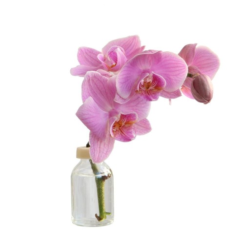 Table vase mini bottle with plastic cap 2 holes H6 cm D 3 cm 110 p.