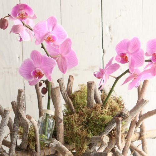 Table vase mini bouteille avec capuchon en plastique 2 trous H 6 cm D 3 cm