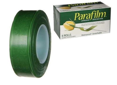 Parafilm Gutta perka 26 mm 27 m. 6 rouleaux