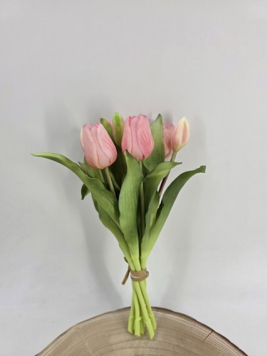 Tulpenbundel 30 cm Licht Roze
