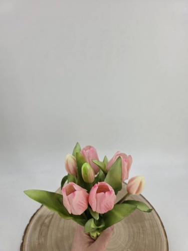 Tulpenbundel 30 cm Licht Roze
