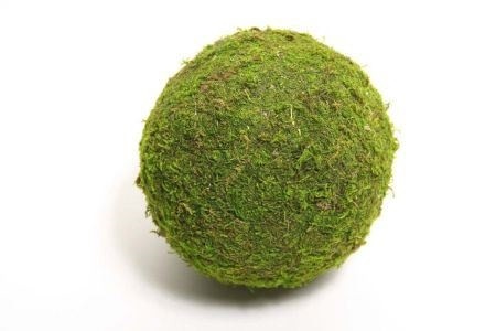 Mosbol ⌀8 cm