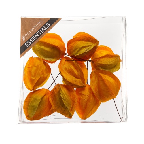 Lantern fruit 4 cm 9 p.