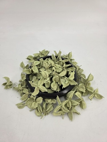 Cotton Pods 150 gr. Pastel Groen