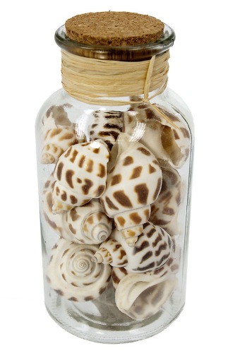 Glass bottle with cork cap H16 cm D 8 cm