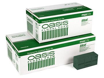 Oasis brick ideal maxlife carton 20 bricks