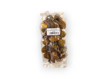 Assortiment Leucadendron 250 gr. Oranje