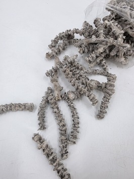 Banana Stem White Wash +/- 250 gr.