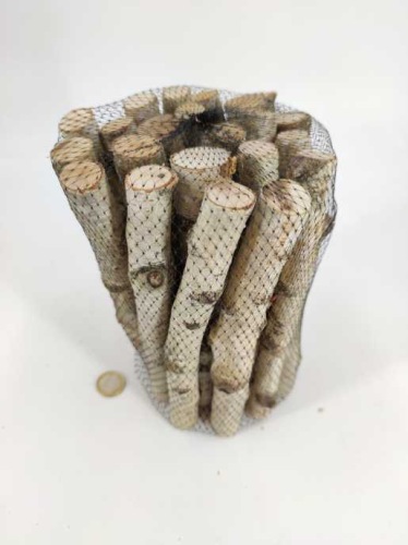 Birch (small trunks) bundle 20 cm D 2-3 cm