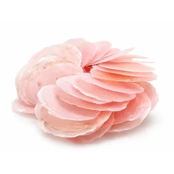 Capiz Dia Roze 5-10 cm 250 gr.