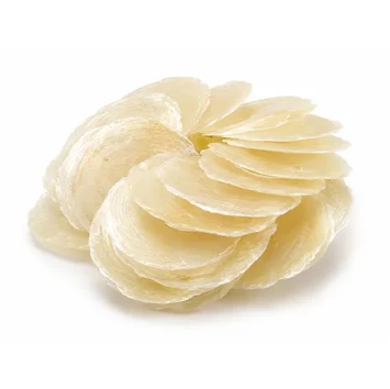Capiz dia wit 6-8 cm 500 gr - Bloemschikmateriaal - Dentergem