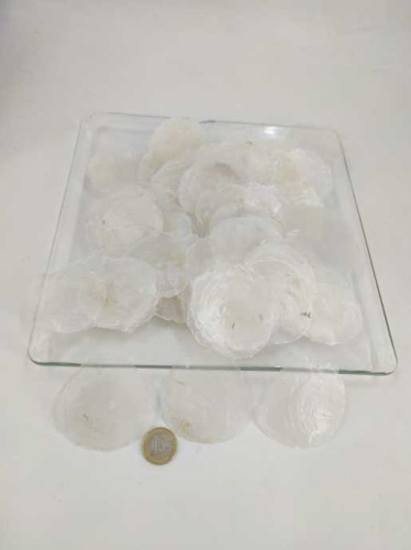 Capiz dia blanc mini 4-6  cm 250 gr.