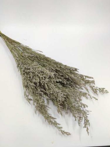 Calamagrostis naturel (struisriet)