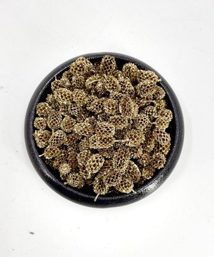 Casuarina 100 gr. Gold