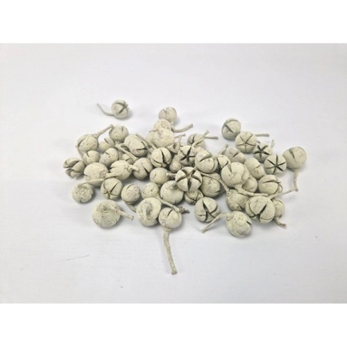 Chiloni 500 gr. Pastel Groen