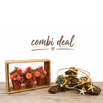 Combi deal Frame en stronk