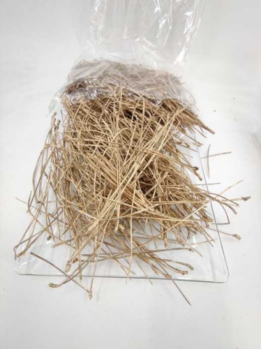 Aiguilles de pin d'or 300 gr.