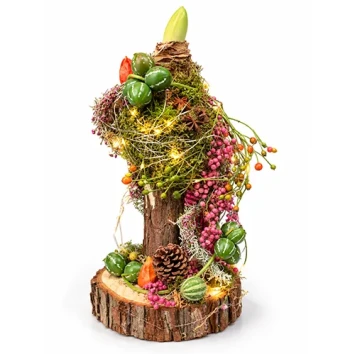 DIY Amaryllis op houten voet kerststuk - Dentergem Carlein Tukkers- bloemschikmateriaal