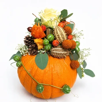 DIY Herfst Grote Pompoen arrangement - Carlein Tukkers - Dentergem - bloemschikmateriaal