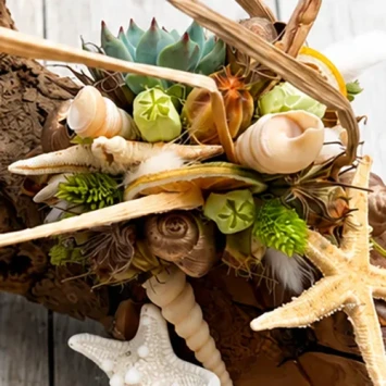 DIY-pakket moerbeistronk 40-50 cm - Dentergem - bloemschikmateriaal