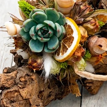 DIY-pakket moerbeistronk 40-50 cm - Dentergem - bloemschikmateriaal