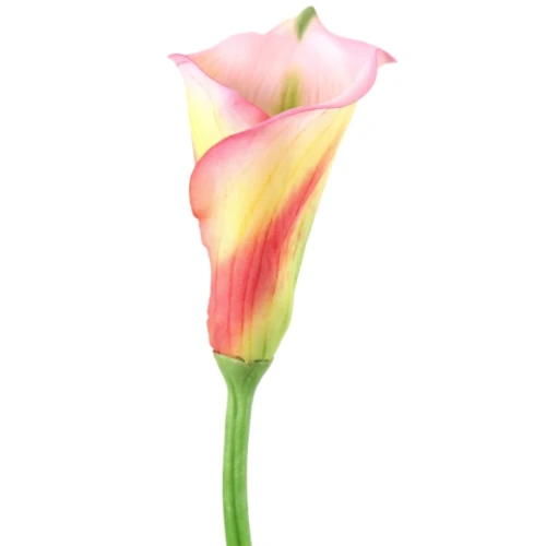 Kunstbloem Araceae Donker Roze