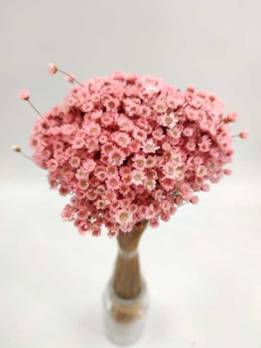 Glixia peach