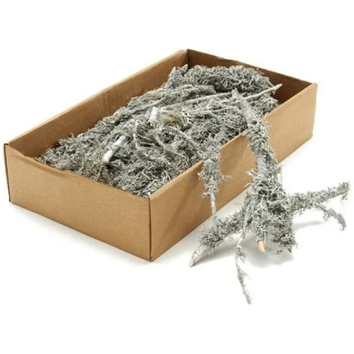 Grijs Mos Op Tak 750 gr.