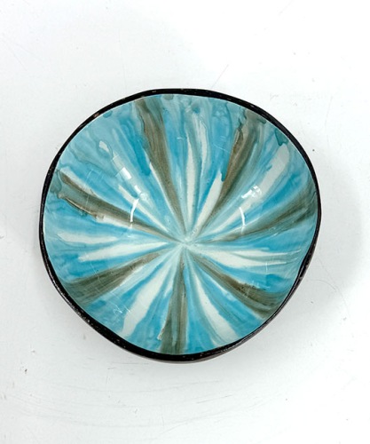 Halve-kokosnoot-gepolijst-13-cm-Licht-Blauw-Top---dentergem---belgie