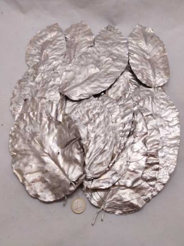 Sal leaves platinum 20 p.