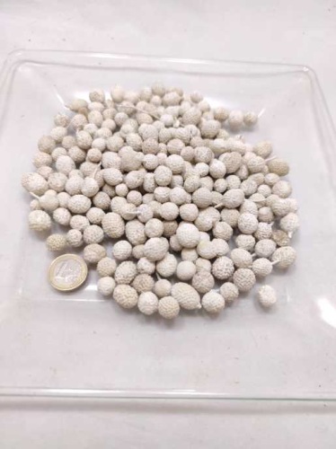 Bora flower 100 gr. white-wash