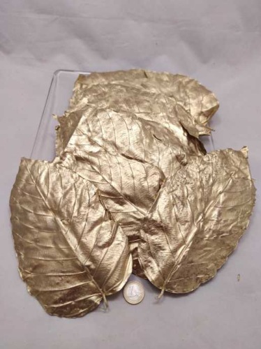 Sal leaves gold 20 p.