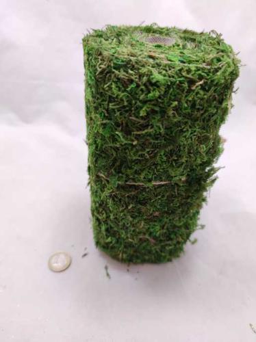 Moss on a roll 20 cm 2 m.